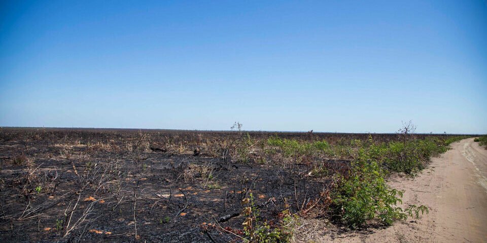 cabecalho-4-2000×1000 (1)