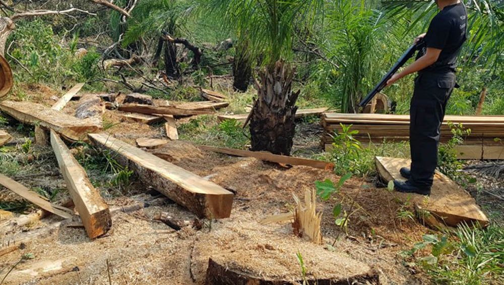 PF, Funai e Ibama realizam, em 2019, operação conjunta para coibir desmatamento ilegal na Terra Indígena Kadiwéu, no MS.