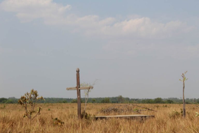 O desmatamento avança até sobre os cemitérios das comunidades.