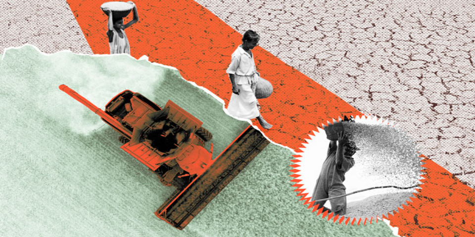 redimencionada – mitos-inverdades-sustentabilidade-commodities-CAPA