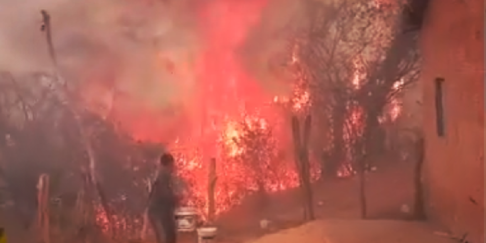 Imagem: Comunidades Tradicionais do Piauí - Currais/PI