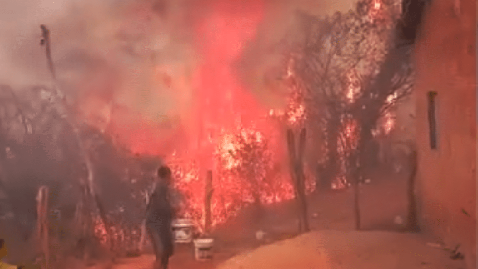 Imagem: Comunidades Tradicionais do Piauí - Currais/PI