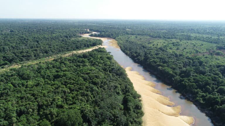 Rio Formoso, município de Lagoa da Confusão, Tocantins. Foto: Cimi, 2021