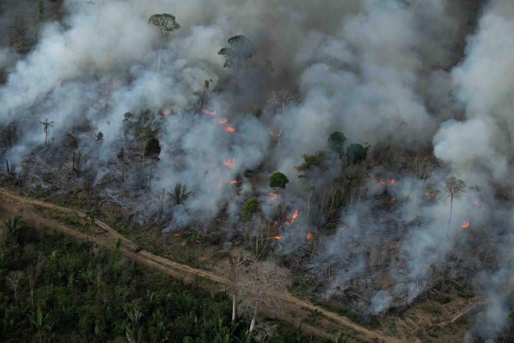 Foto 4: Incêndios criminosos na TI Karipuna. Foto: Christian Braga/Greenpeace