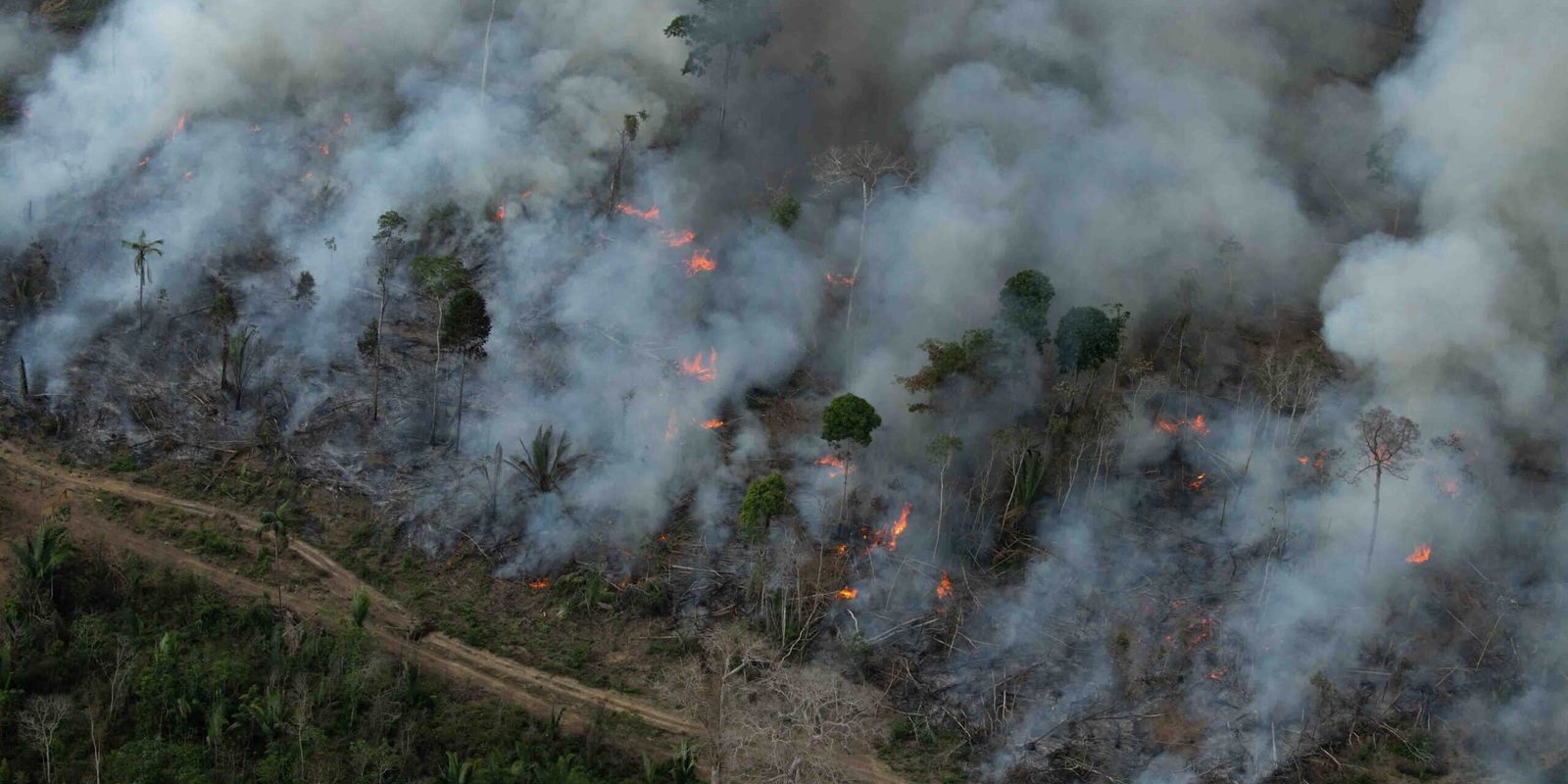 Foto 4: Incêndios criminosos na TI Karipuna. Foto: Christian Braga/Greenpeace